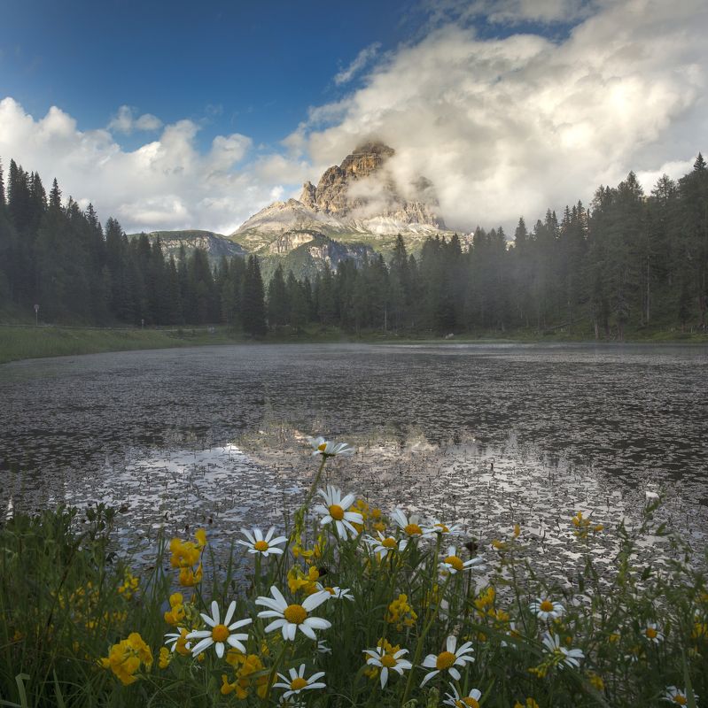 italy, dolomiti, landscape, lake, flowers, fog, Lakephoto preview