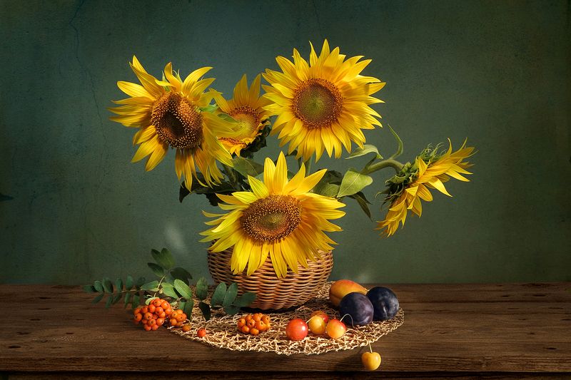 натюрморт,лето,подсолнухи,сливы,черешня,рябина,плетеная ваза Подсолнухиphoto preview