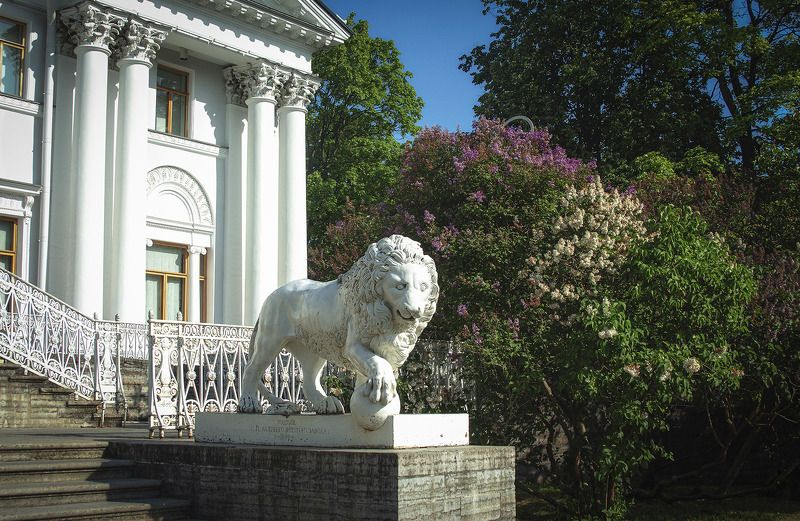 У Елагинского дворцаphoto preview