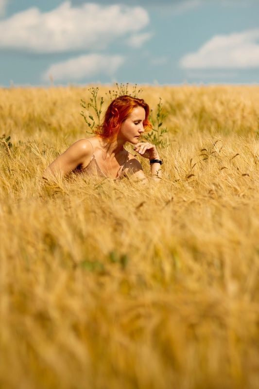 Полевые прогулки фото превью