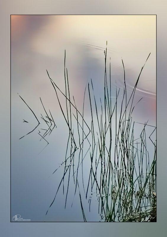 Вечерние акварелиphoto preview