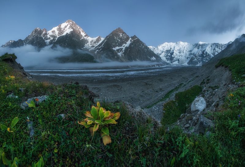 центральный кавказ, кабардино-балкария, безенгийский ледник, дыхтау, безенгийская стена, вечер, июль Вечер на Безенгийском ледникеphoto preview