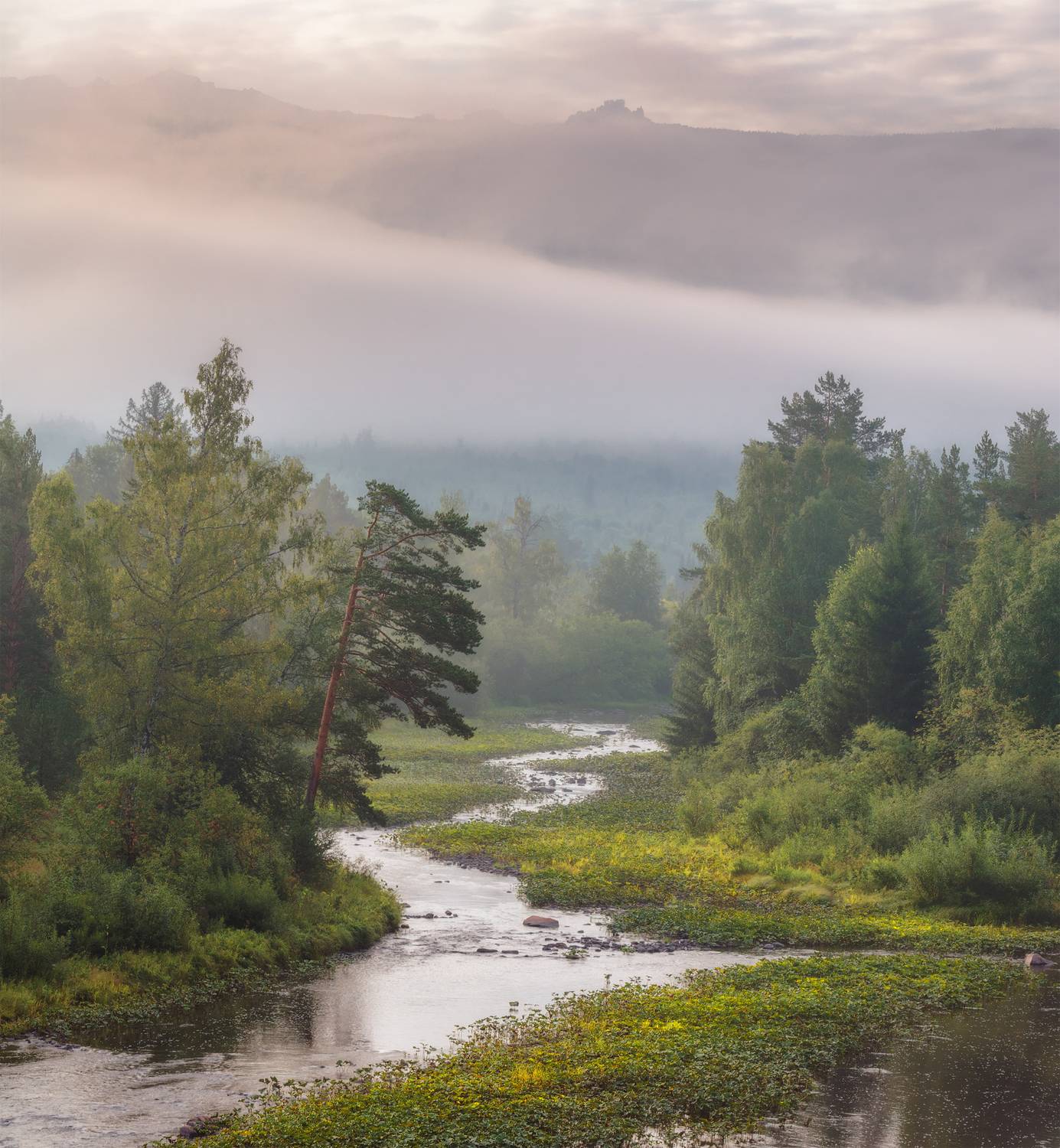 юрюзань, поперечная,  marateaman