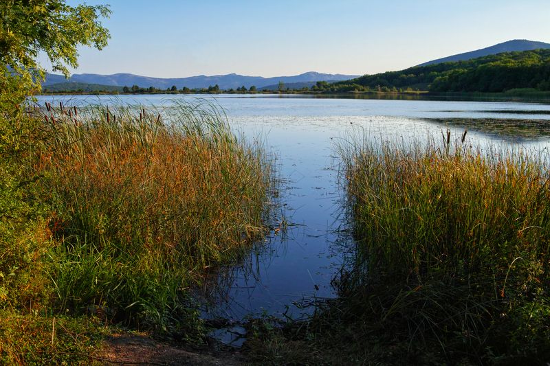 sigma sd quattro . crimea ***** фото превью