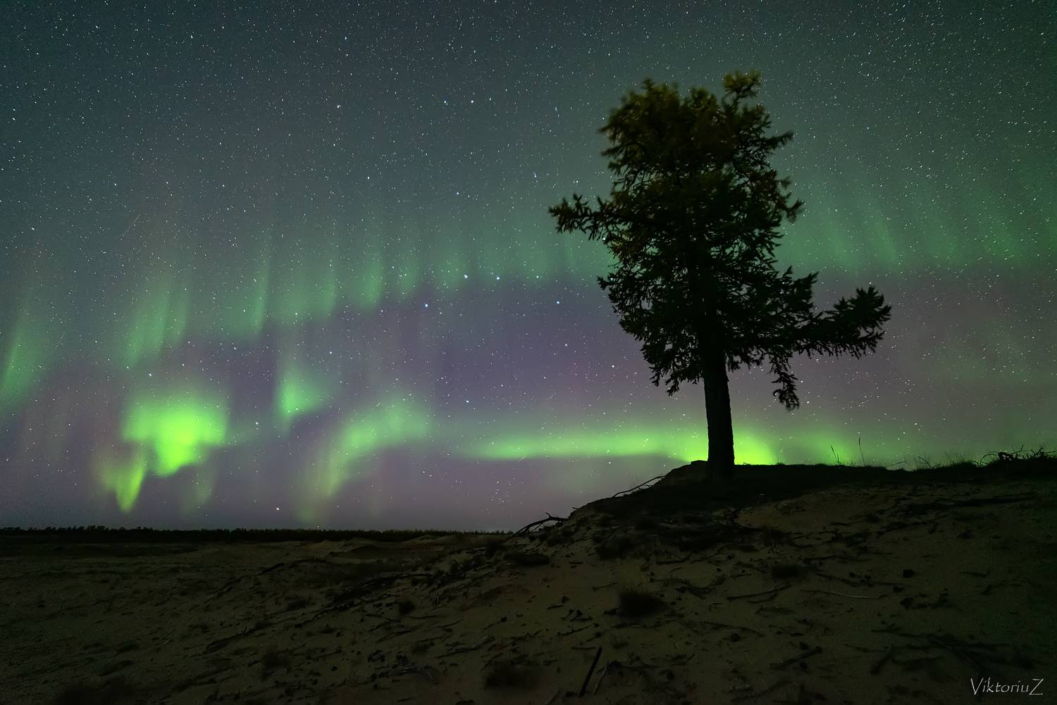 северное сияние, полярное сияние, заполярье, aurora borealis, polar lights, Куликов Виктор