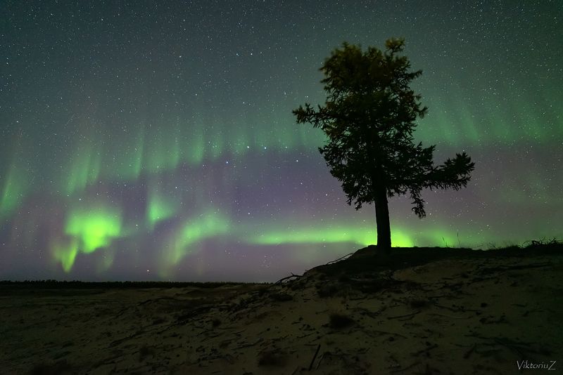 северное сияние, полярное сияние, заполярье, aurora borealis, polar lights photo preview