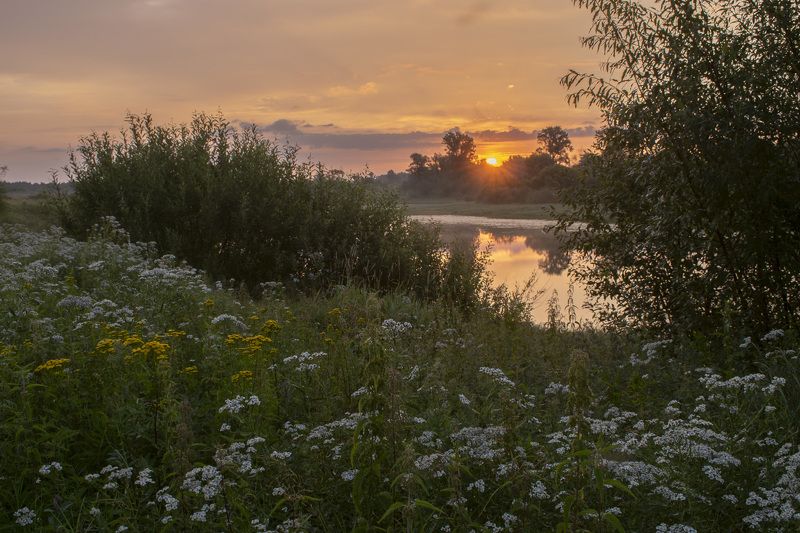 Рассвет, озеро, луг, цветы, отражение, лето, трава, зелень, солнце, лучи Первый солнца лучphoto preview