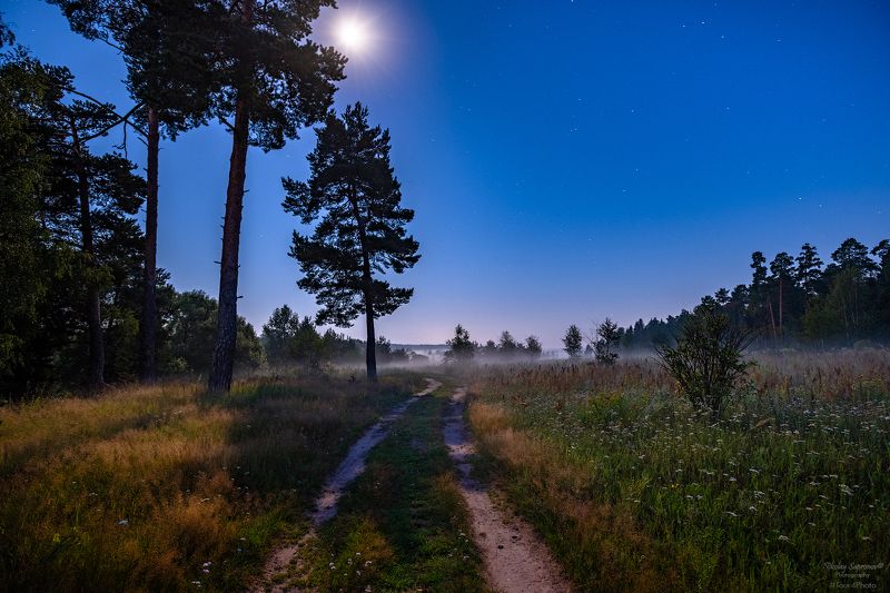 ночной пейзаж, киржач, лето, средняя полоса, луна, лунная ночь, дорога, луг Лунная ночь в окрестностях реки Киржачphoto preview