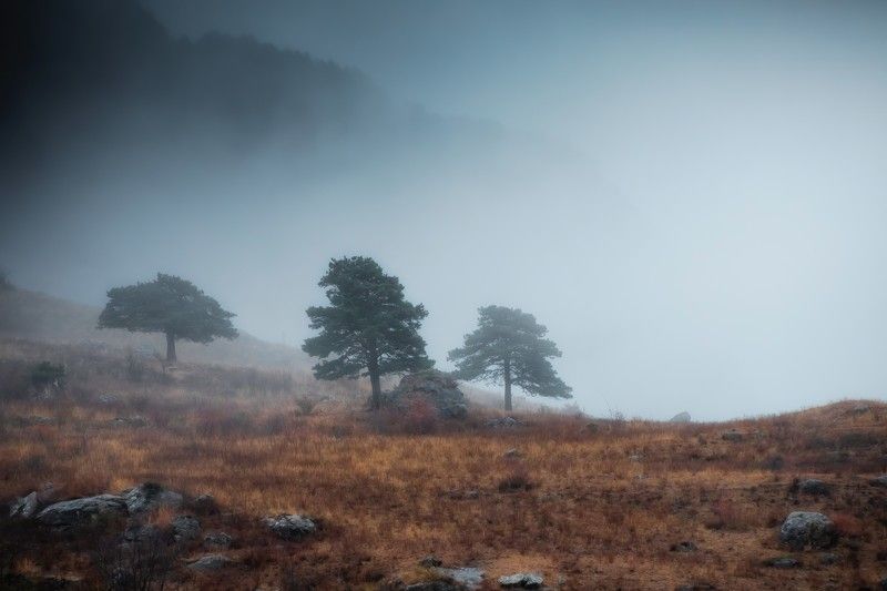 Туманное утроphoto preview