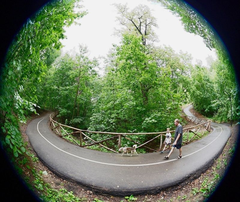 Прогулкаphoto preview