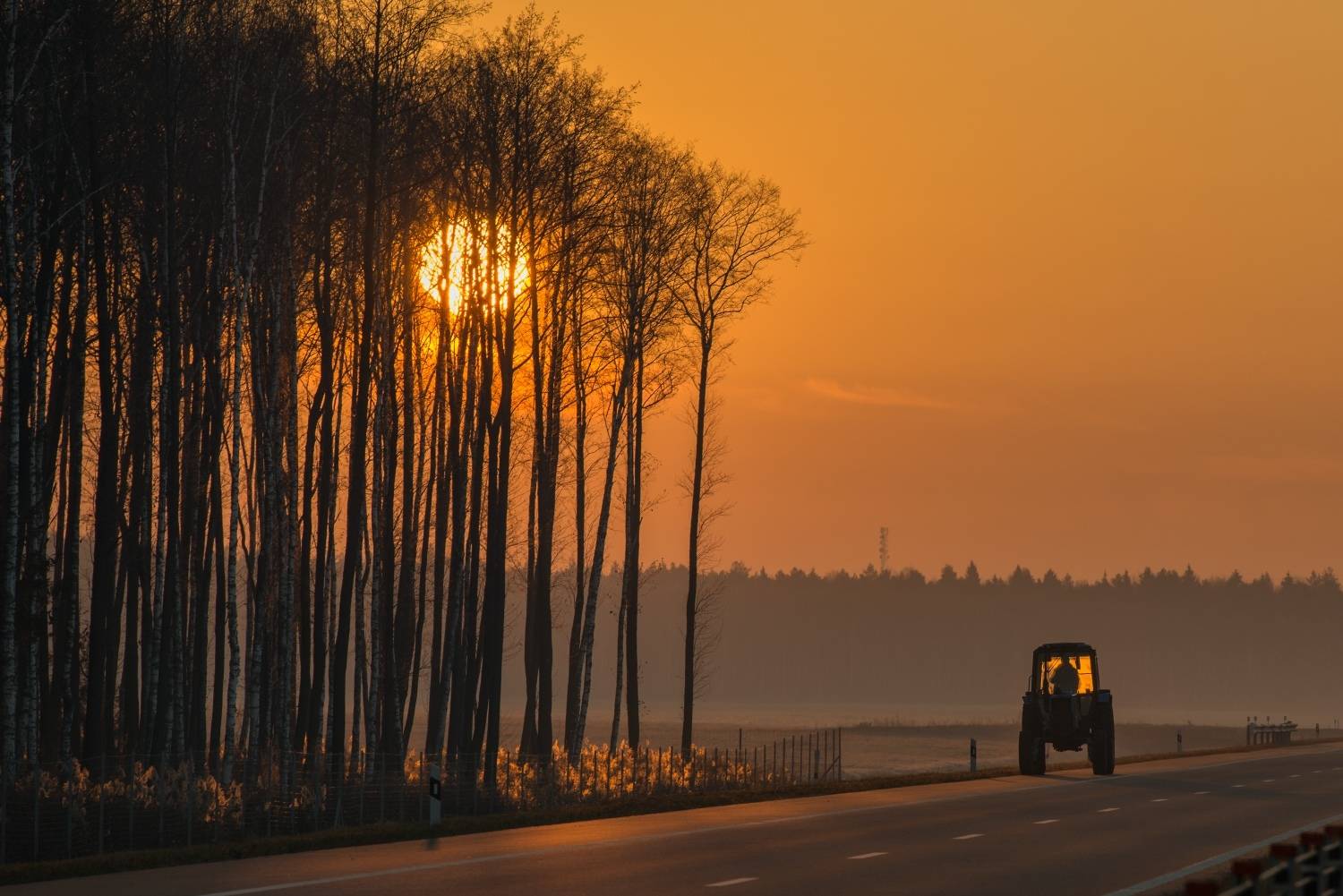 , Николай Никитин