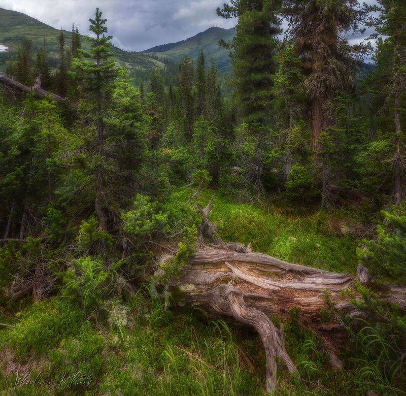 ергаки *** фото превью