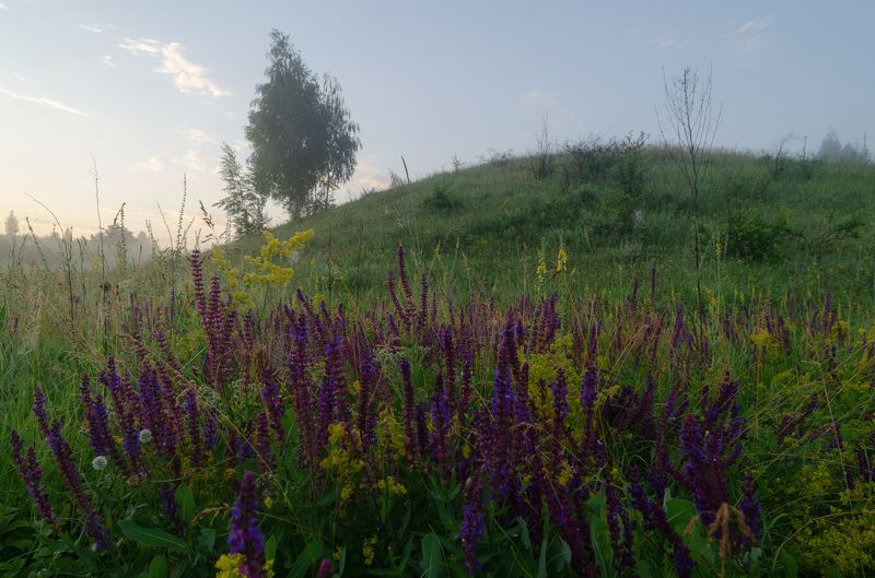 Утро в яру фото превью