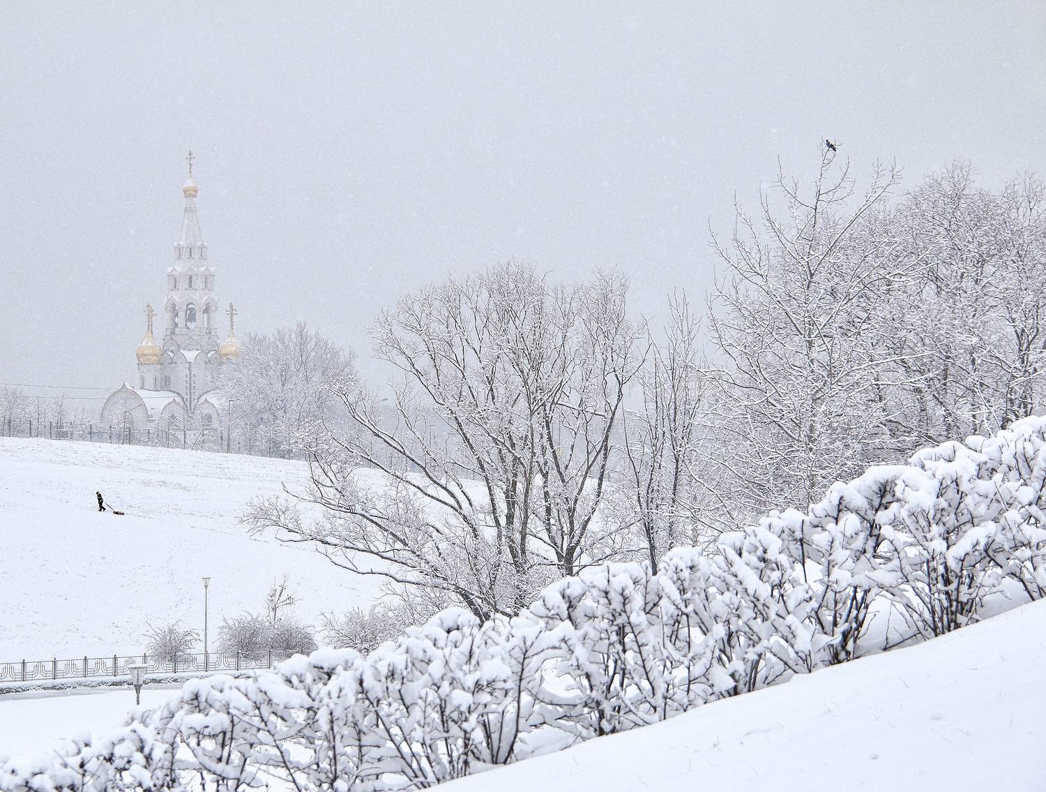 ***. Автор: Елена Лаврова , Елена Лаврова