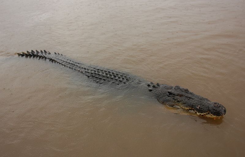 Ну здравствуй..photo preview