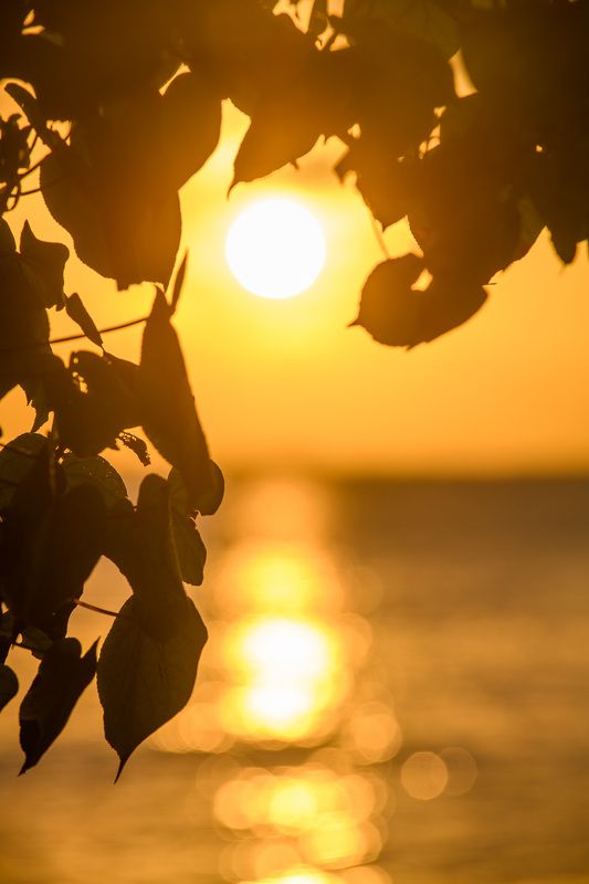 мальдивы Закат по мальдивскиphoto preview