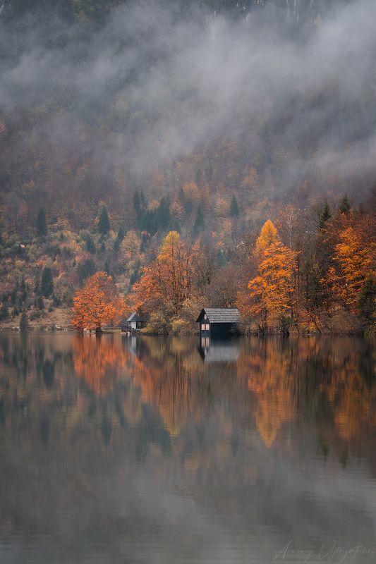 slovenia, outdoor, autumn, fog, white, mountains, trees, travel, topview И звуки падают в обьятия тишины..photo preview