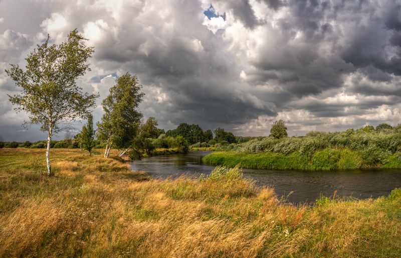 река, тучи, березы, Перед дождемphoto preview