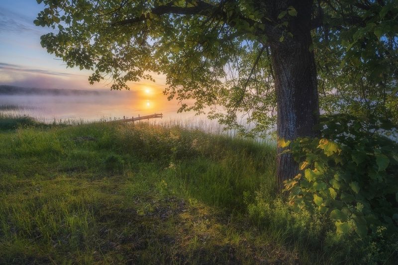 В свете восходящего солнцаphoto preview