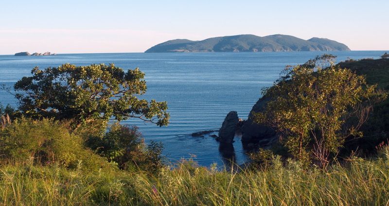 Приморский край, Сысоева, Аскольд Вид на о. Аскольдphoto preview