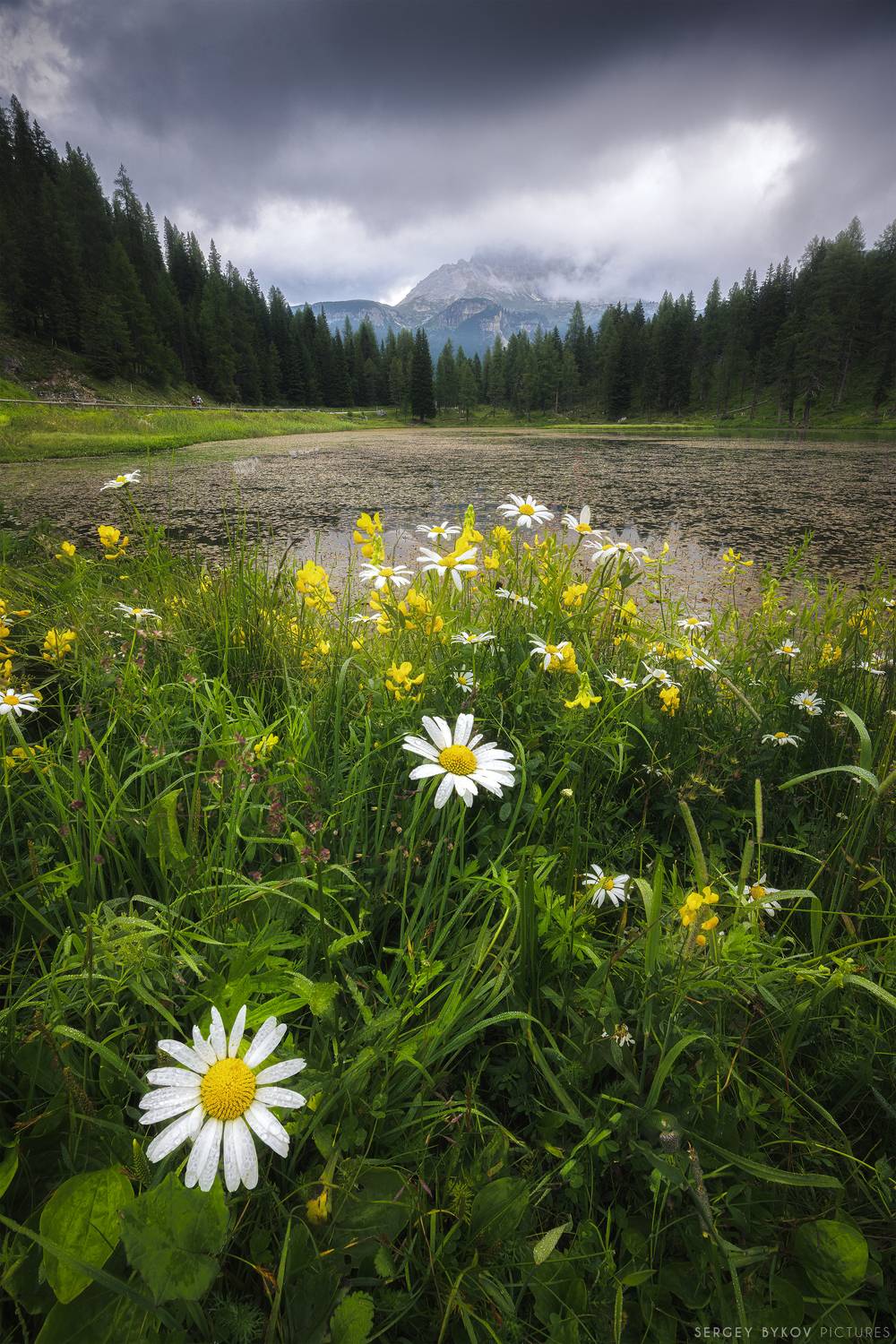 , Быков Сергей