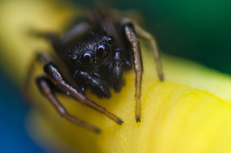 КРОХАphoto preview