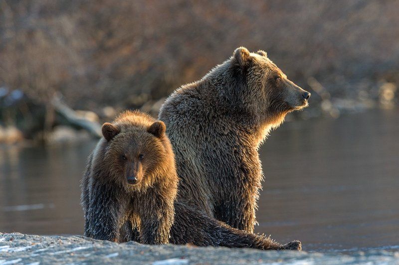 Прощание с солнцемphoto preview