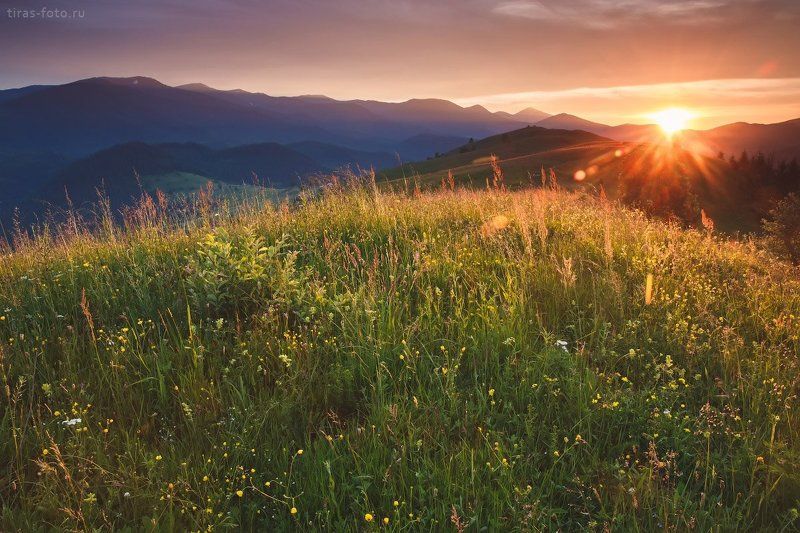 Карпаты, горы, закат, лето Вечер в Карпатахphoto preview