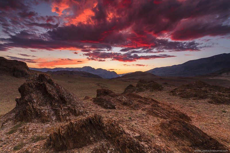 алтай, горы, закат, небо, облака, пустыня Огненная пустыня фото превью