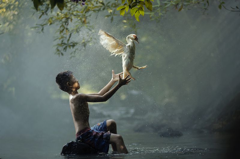 Action, Animals, Asia, Asian, Boy, Child, Children, Duck, Fun, Green, Life, Lucky, River, Water, Waterfall, Wildlife Playingphoto preview