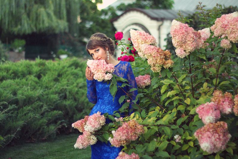 Evening flowerphoto preview