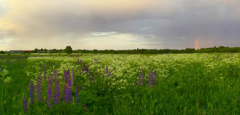 После дождяphoto preview