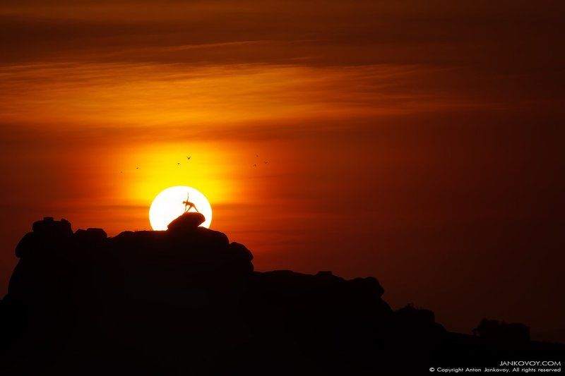 AGNI YOGAphoto preview