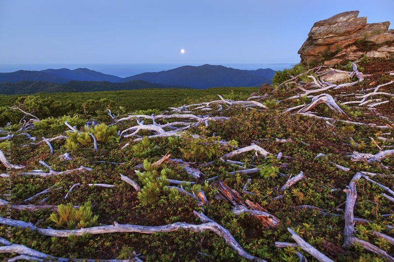 Сахалин, остров, Россия, путешествия, закат, на вершине, машина, джип, красота, природа, смотровая, sunset, nature, Russia, Sakhalin, island, at the top, viewpoint, moon ***photo preview