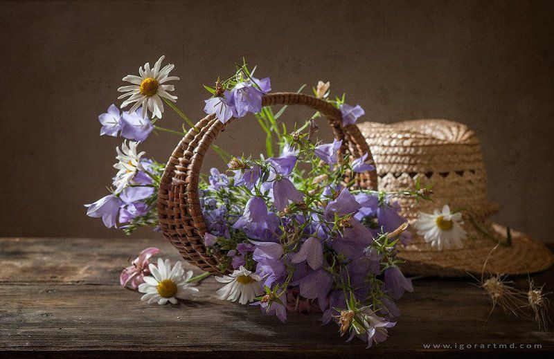 Летнийphoto preview