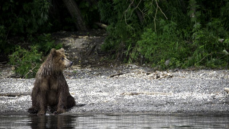 Позируетphoto preview