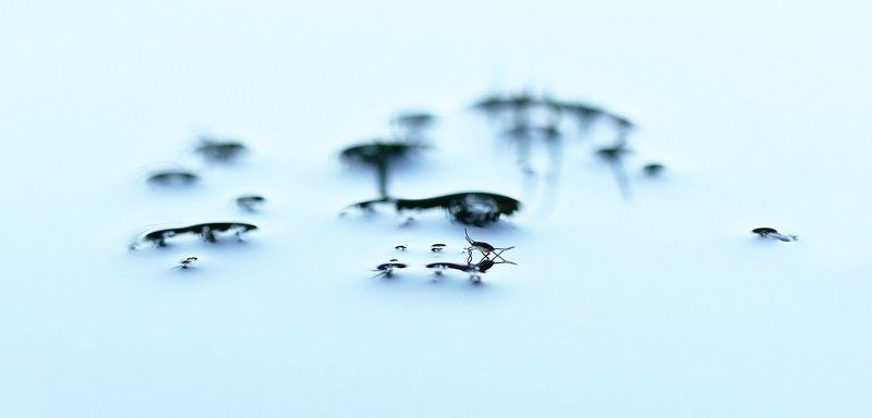 Островаphoto preview