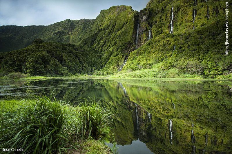 Portugal ; Açores  Portugal - Açores - Lago dos Patos, Floresphoto preview
