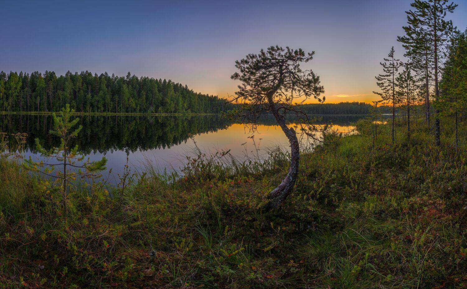 , Олег Авдеев