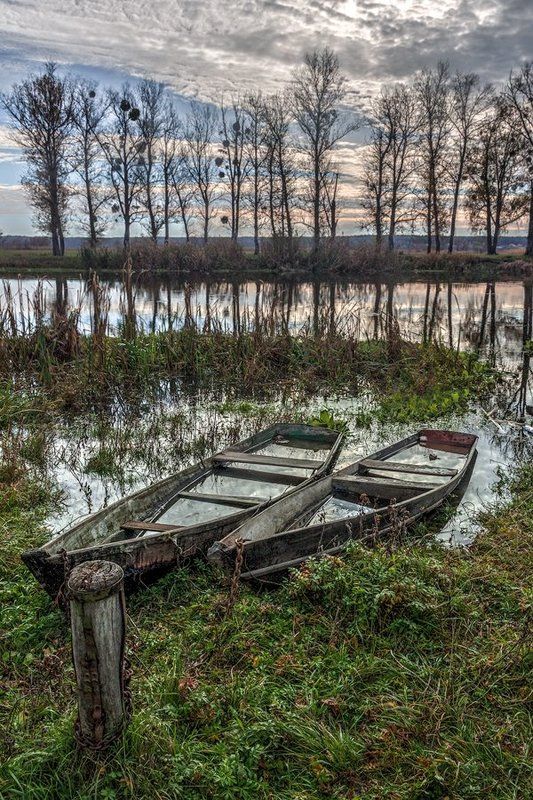 Утро у рекиphoto preview