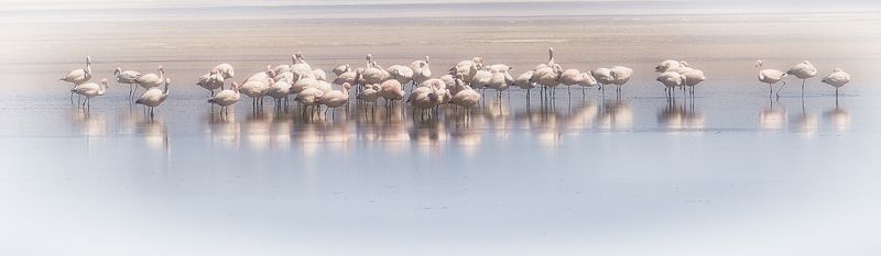 bolivia, боливия, mc *photo preview