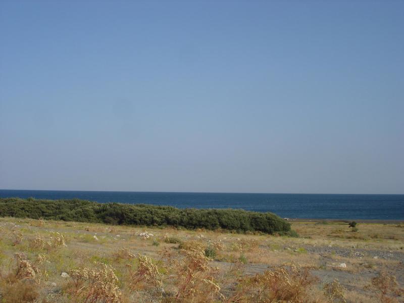 Нино Микоянц, Georgia