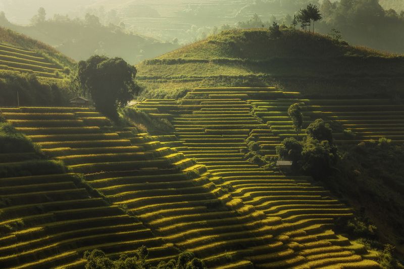 Jakkree Thampitakkull, Thailand