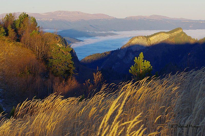 рассвет в травах 2photo preview