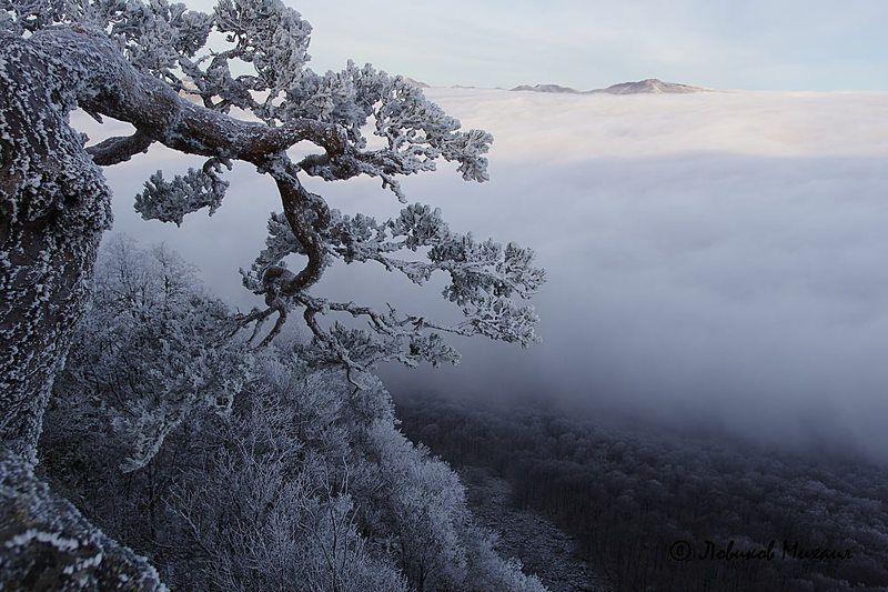 зимняя красавицаphoto preview