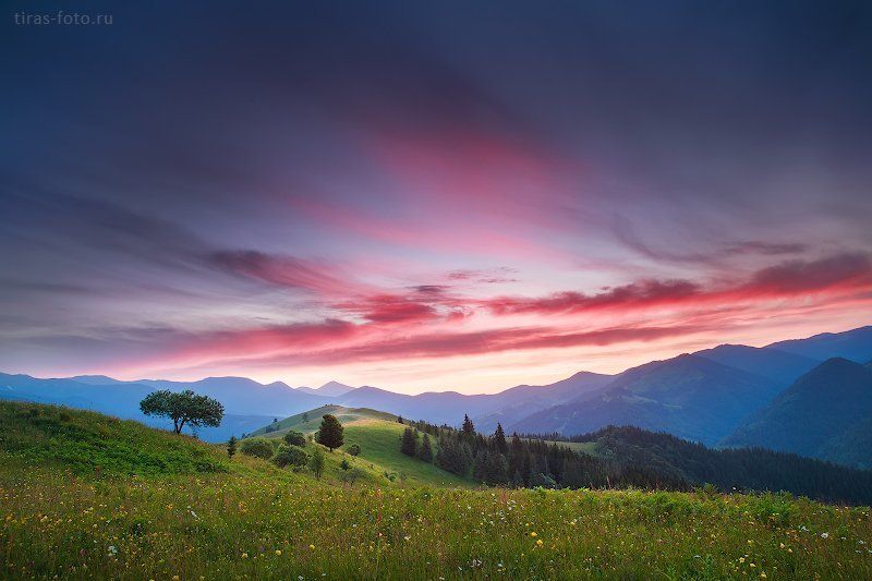 Карпаты, горы, закат, лето Закатноеphoto preview