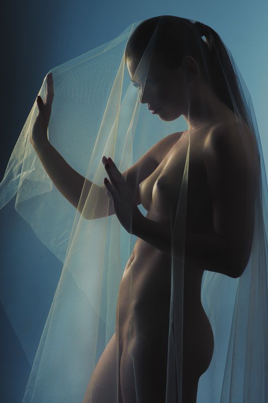 bride, nude, veil, nude, naked Bridephoto preview