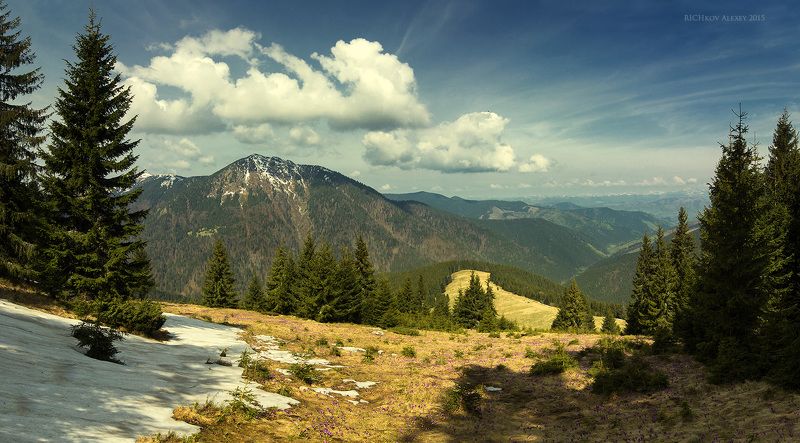 Вершина, Весна, Горы, Карпаты, Лес, Мармаросы, Небо, Облака, Петрос, Снег, Украина Весна в Мармаросахphoto preview