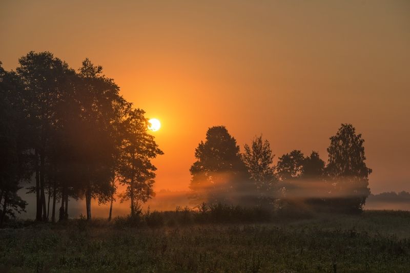 Грибной сезонphoto preview