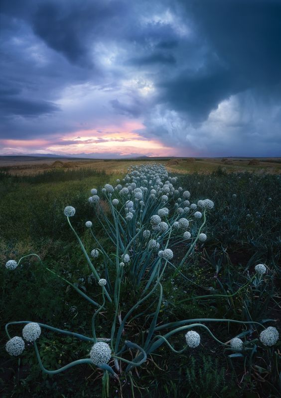 Stormy eveningphoto preview